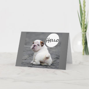 CARTE ***VOEUX D'ANNIVERSAIRE DE BULLDOG***