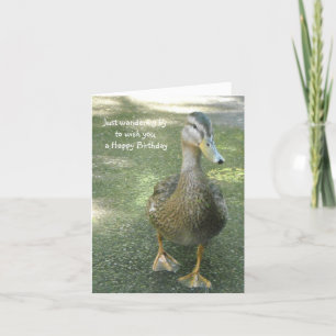 Carte Vœux d'anniversaire de canard errant