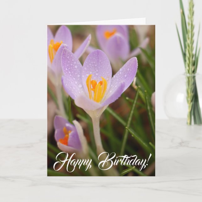 Carte Vœux d'anniversaire de Crocus (Devant)