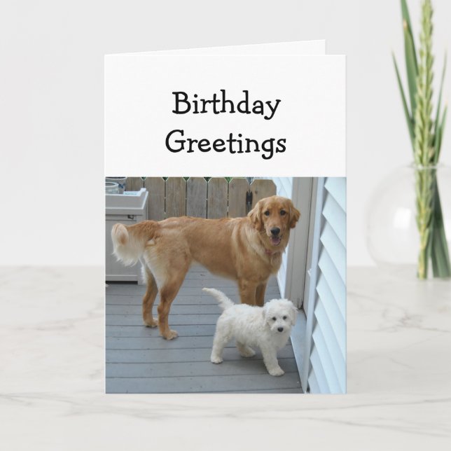 Carte Voeux d'anniversaire des deux nous Pet Dog Humor (Devant)