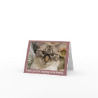 Voeux d'anniversaire d'expression inestimables