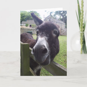 Carte Voeux d'anniversaire Donkey