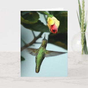 Carte Voeux d'anniversaire Hummingbird