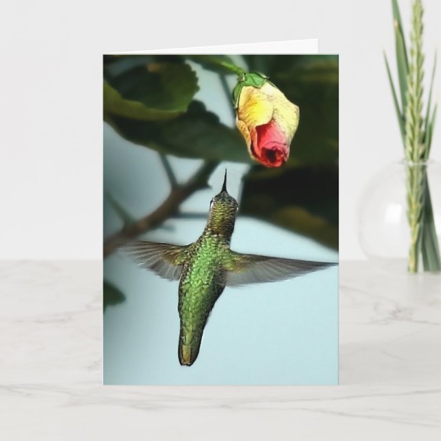 Carte Voeux d'anniversaire Hummingbird (Devant)
