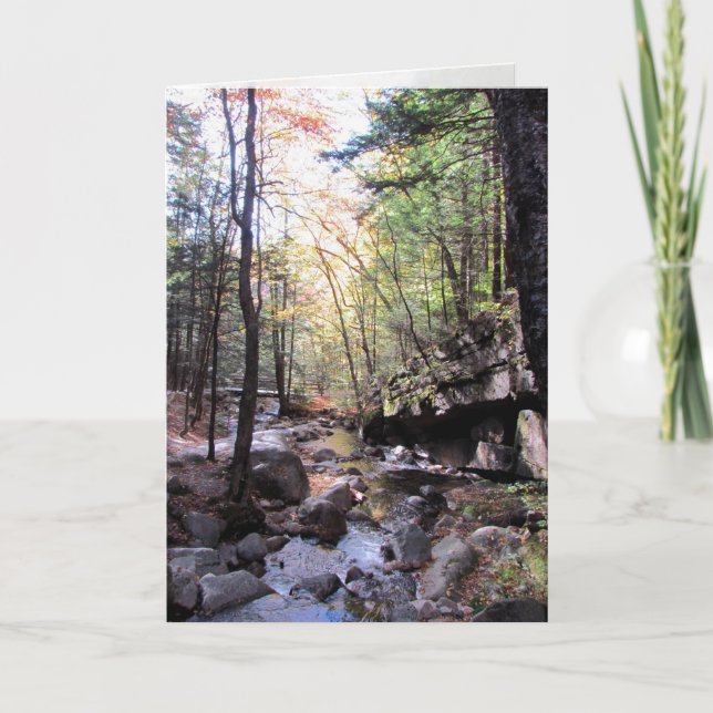 Carte Voeux d'anniversaire paisibles (Devant)