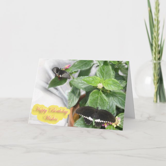 Carte Voeux d'anniversaire - Papillon (Devant)