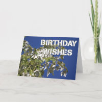 Vœux d'anniversaire Peuplier feuillu, ciel bleu