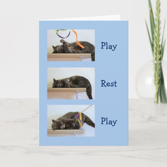 Carte Voeux d'anniversaire pour les Chats (Devant)