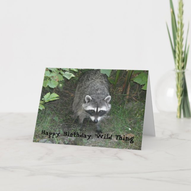 Carte Vœux d'anniversaire - Raton laveur (Devant)