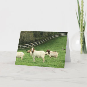 Carte Vœux de chèvre d'anniversaire