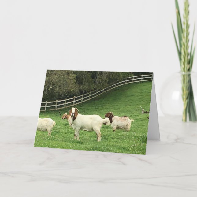 Carte Vœux de chèvre d'anniversaire (Devant)