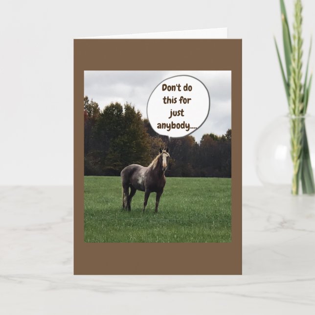 CARTE VŒUX DE NOËL DE LA PART D'UN CHEVAL SPÉCIAL (Devant)