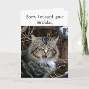 Carte Voeux photo pour chat d'anniversaire manqué