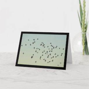 Carte Vol des Pigeons
