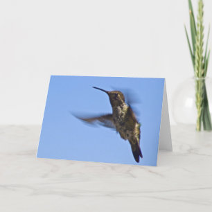 Carte Vol du colibri