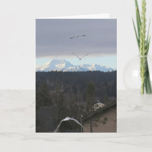 Carte Vol vers Majestic Horizons : Mouettes de l'Olympe
