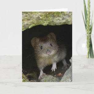 Carte Volet bancaire