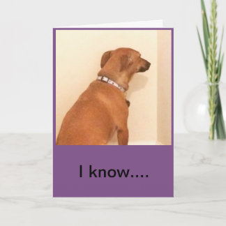 Carte Votre anniversaire m'a manqué - Je suis désolé