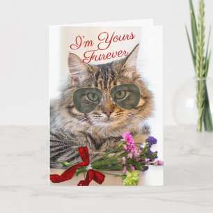 Carte Votre Furever Valentine's Day magnifique Chat