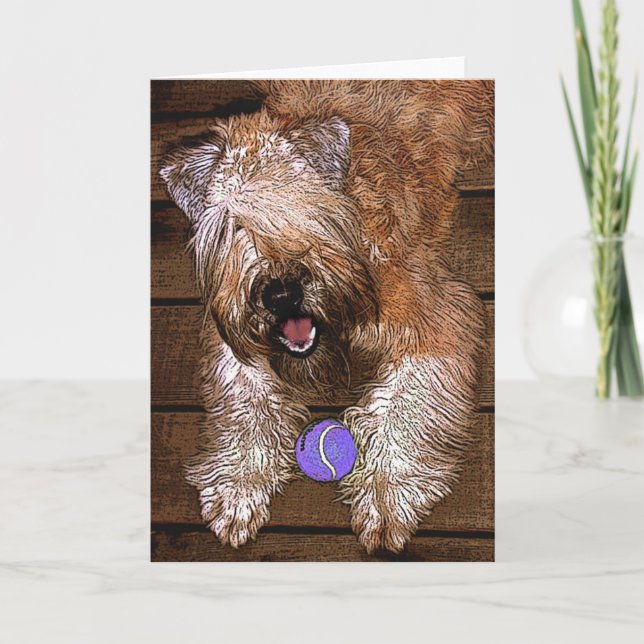 Carte : "Voulez jouer ? " (Devant)