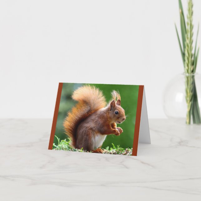 Carte Vous Aimez Les Noix ! (Devant)