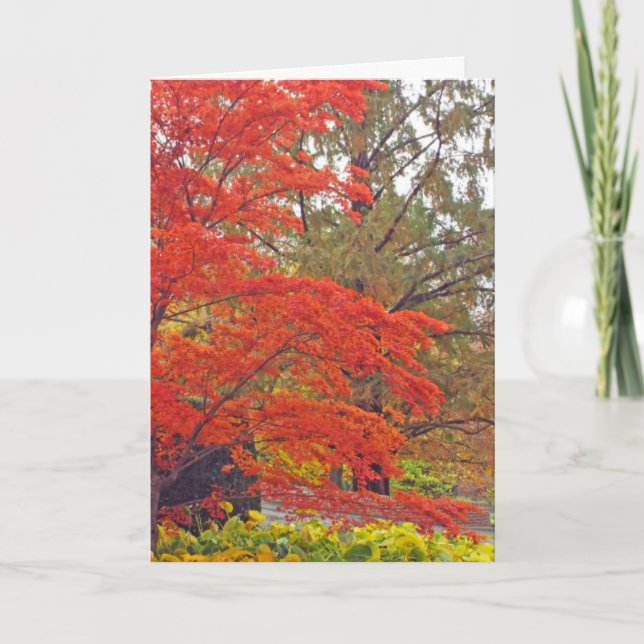 CARTE "VOUS AJOUTEZ DE LA COULEUR ET DE LA VIBRANCE À MO (Devant)