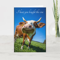 Vous avez acheté la vache Félicitations pour les f