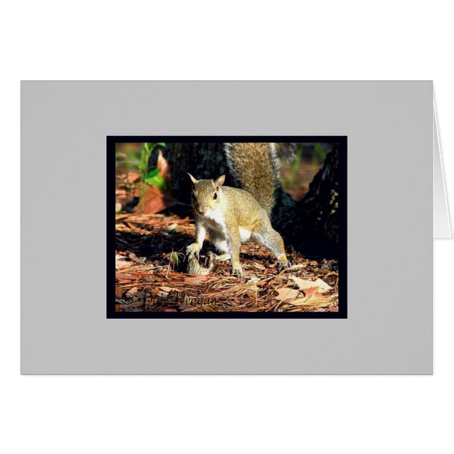 Carte - Vous Avez Des Noix ? (Devant horizontal)