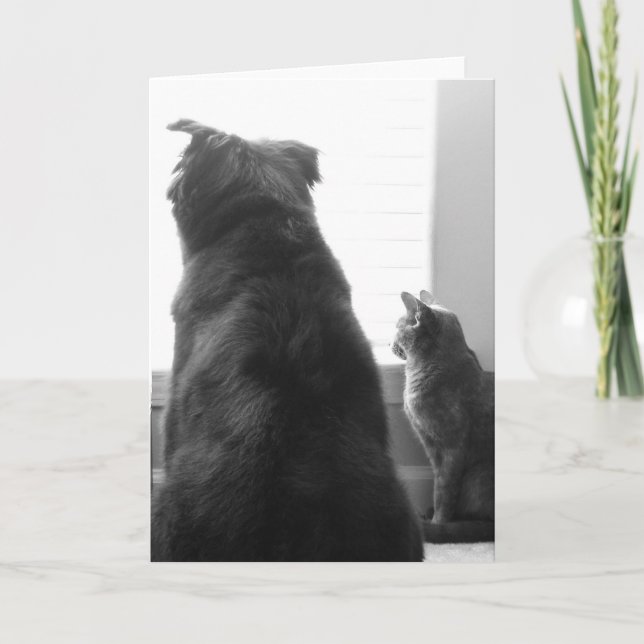 Carte Vous avez manqué (Devant)