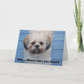 Carte Vous avez manqué