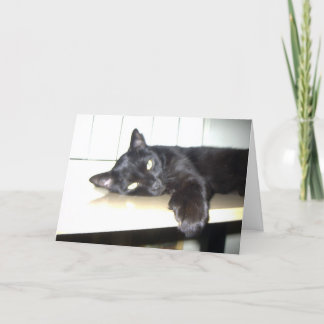 Carte Vous avez manqué