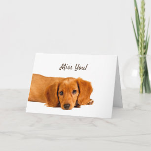 Carte Vous avez oublié les salutations de chien triste