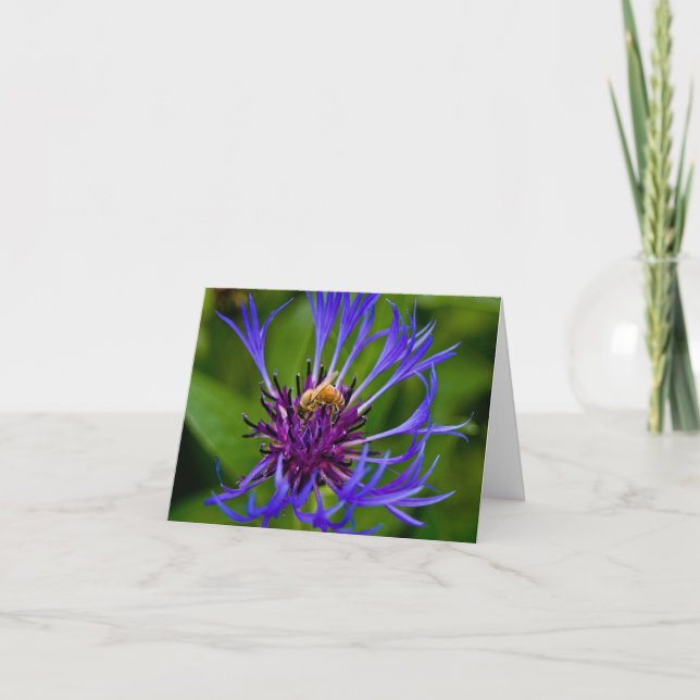 Carte Vous êtes doux comme salutation au miel (Devant)