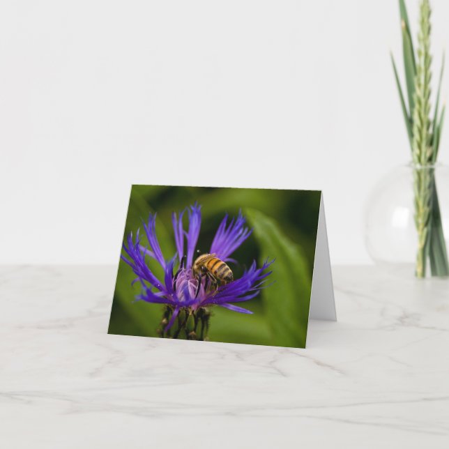 Carte Vous êtes doux comme salutation au miel (Devant)