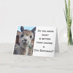 Carte "VOUS ÊTES MAINTENANT UN "ADOLESCENT* HEUREUX 13e 