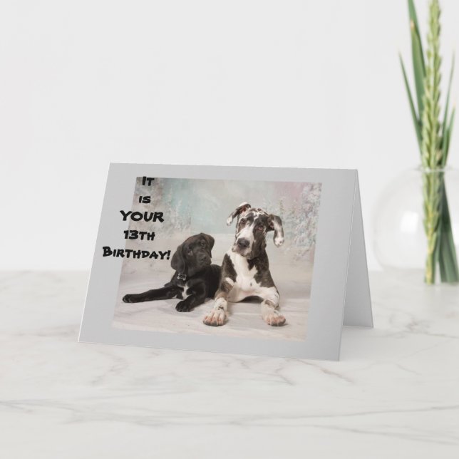 Carte VOUS ÊTES OFFICIELLEMENT ADOLESCENT **13e ANNIVERS (Devant)