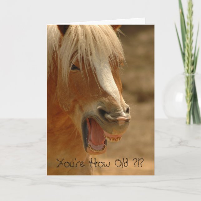 Carte Vous êtes quel âge ? ! ? (Devant)