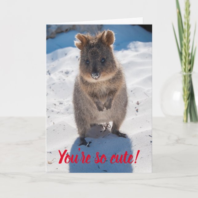 Carte Vous êtes si mignon Quokka sur la plage Valentine (Devant)