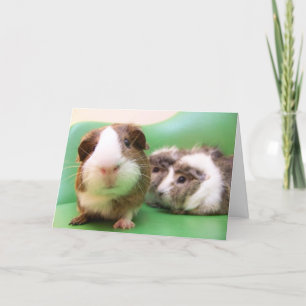 Carte Vous êtes un hors concours !