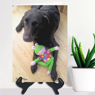 Carte Vous manque Mignon Chocolat Lab Avec Photo Jouet