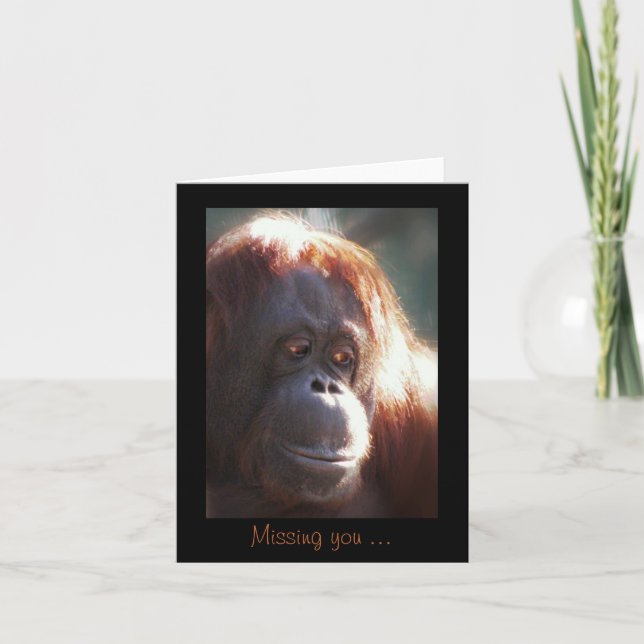 Carte Vous manquez... (Devant)