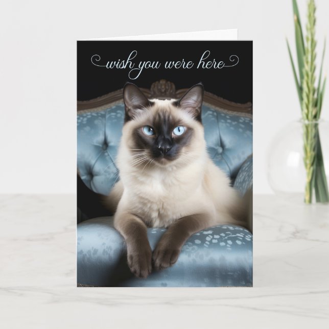 Carte Vous Manquez Chat Siamois sur une Chaise Bleue (Devant)