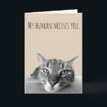 Carte Vous Manquez Du Chat Funny<br><div class="desc">This design created though digital art. It may be personalized in the area provide or customizing by choosing the click to customize further option and changing the name, initials or words. Donc, change le texte color and style or delete the text for an image only design. Contact me at colorflowcreations@gmail.com...</div>