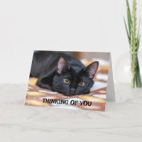 *VOUS MANQUEZ/HEUREUX ANNIVERSAIRE*