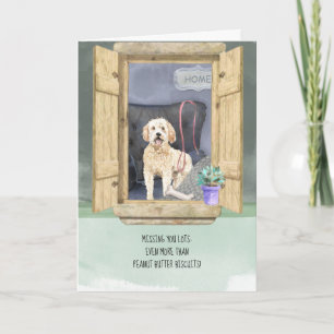 Carte Vous Manquez Lots Goldendoodle Chien Fenêtre de re