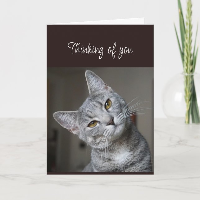 Carte Vous manquez Vous pensez au Chat curieux (Devant)