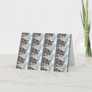 CARTE VOUS MÉRITEZ WINKS KISSES HUGS PLUS ANNIVERSAIRE