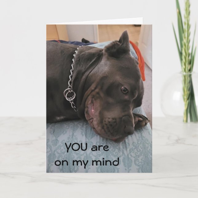 CARTE VOUS NE POUVEZ PAS DORMIR ET VOUS MANQUER TROP DE  (Devant)