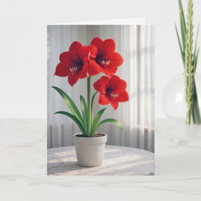 Carte Vous pensant Amaryllis Rouge Fleurissant  (Devant)