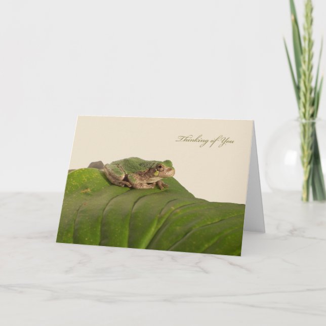 Carte Vous pensez avec la grenouille du Missouri Tree (Devant)